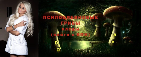 шишки Абинск