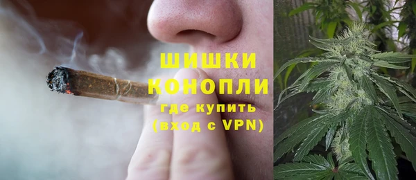 шишки Абинск